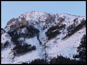 Copie (4) de P1020223